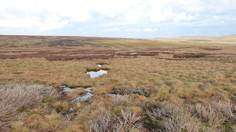 The research could help build a better picture of the condition of Scotland’s peatland.