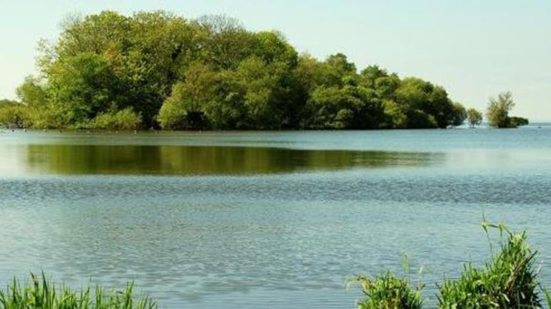 Lough Neagh comes under EU Directives aimed at protecting habitats and species 