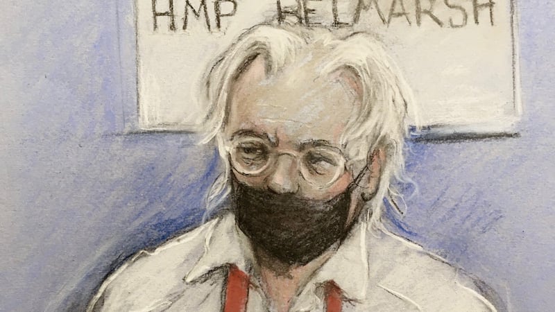 Court artist sketch by Elizabeth Cook of Julian Assange appearing by video link at the High Court in London in 2021