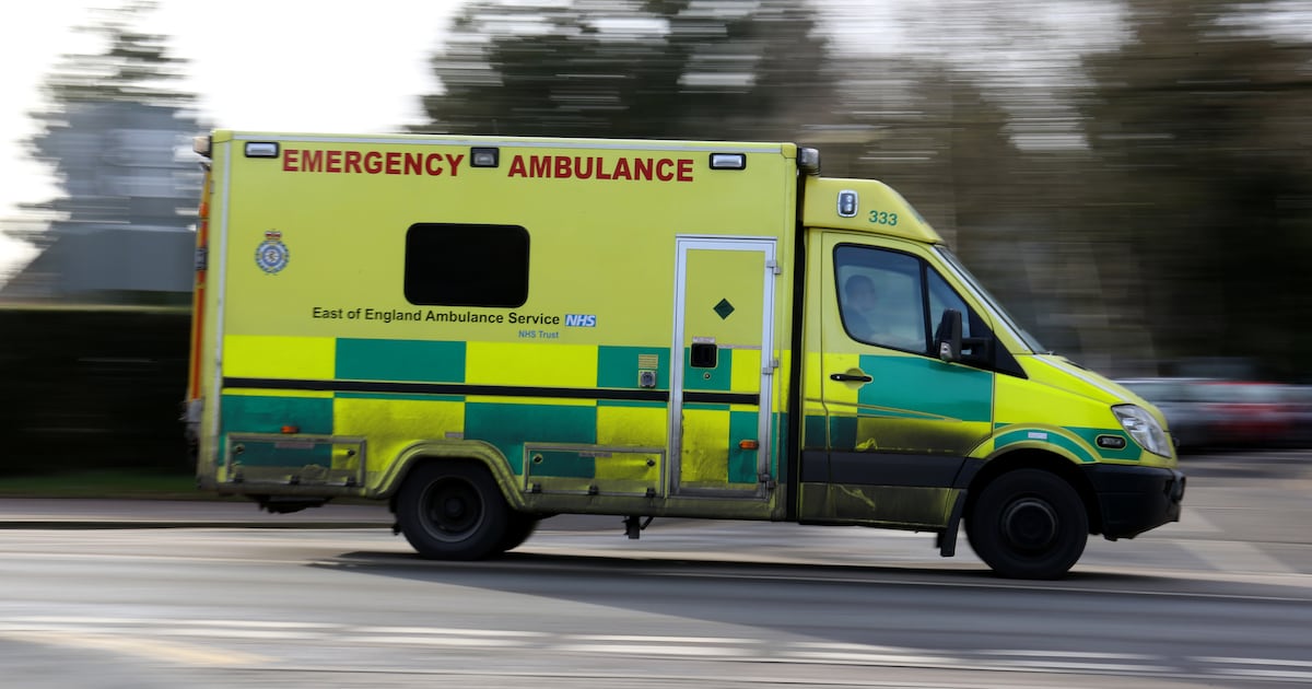 After In Sign Language Girl, seven, killed after tree collapses in Essex park – The Irish News