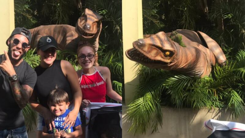 The DeCarvalho family were posing in front of the display at an adventure park when the reptile took them by surprise.