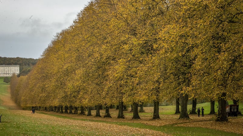 The tall trees of Stormont Estate in Belfast (Liam McBurney/PA)