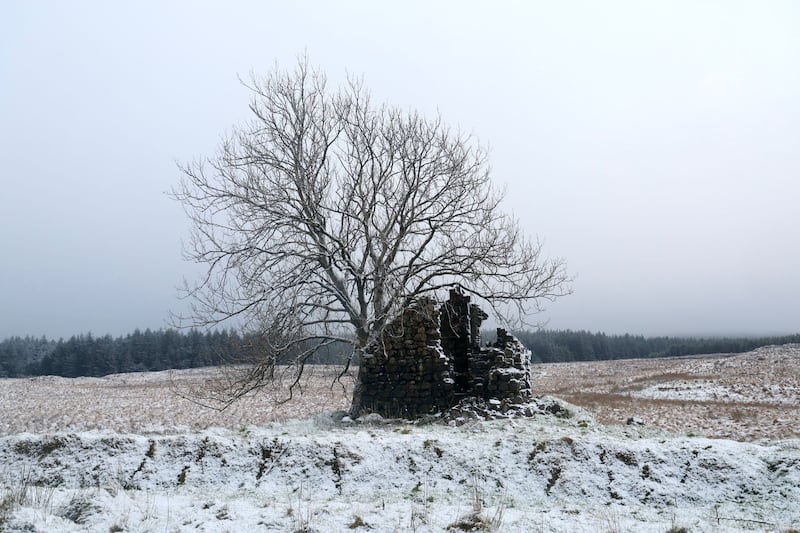 Northern Ireland weather warning for snow and ice as Artic blast sweeps in
