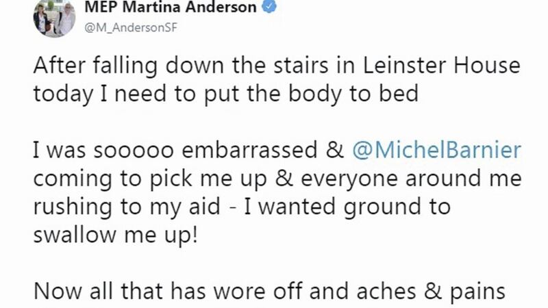 Sinn F&eacute;in MEP Martina Anderson posted on Twitter that she had a nasty fall while at work on Thursday. 