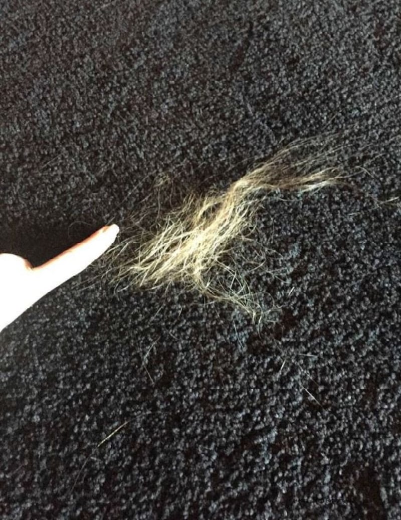 Picture shown in court of loose hair
