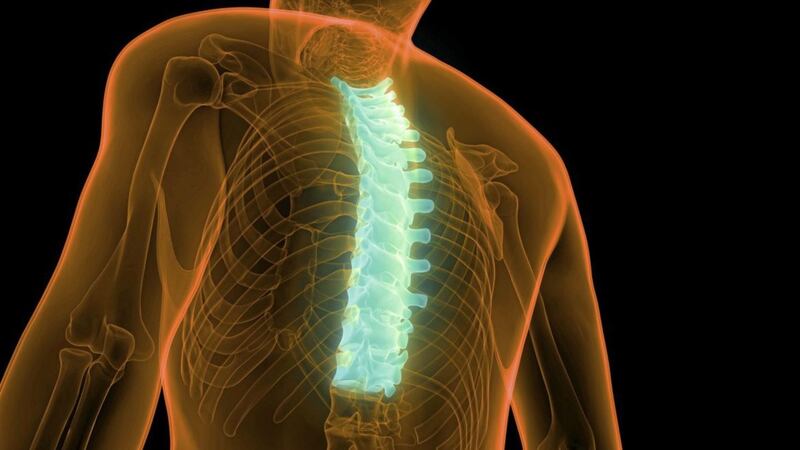 Being sedentary and stuck at a desk can lead to thoracic spine problems 