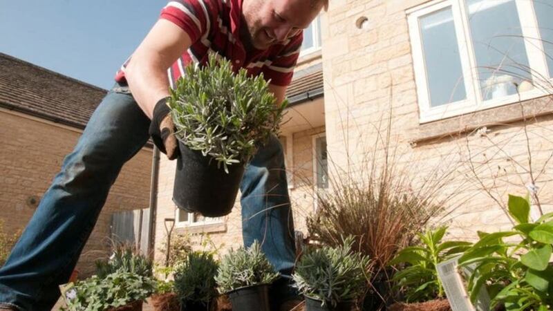 The Royal Horticultural Society says greener front gardens can help health, wellbeing and the environment.