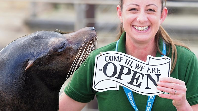 The sea lions at Whipsnade Zoo have held a pool party on Facebook Live as the centre prepares to open to the public again.