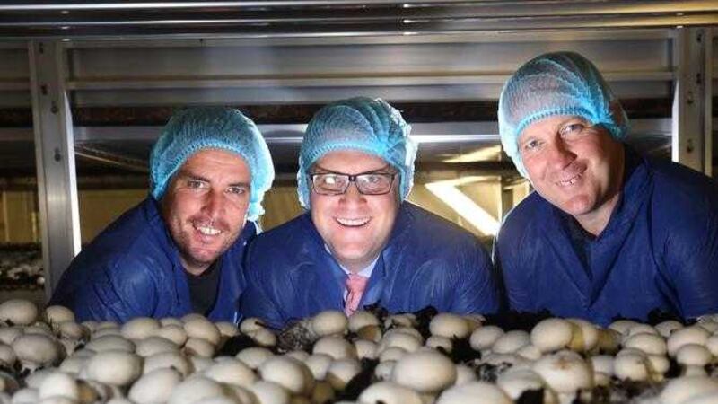 David and Jonathan McKew, directors of Button Farm Mushrooms are pictured with David McCurley, centre, WhiteRock 
