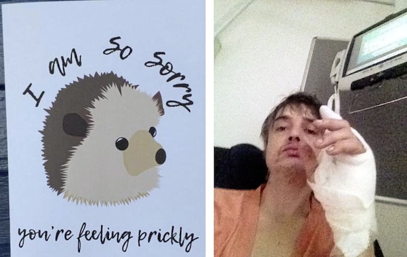 Pete Doherty found himself hospitalised after a run-in with a hedgehog 