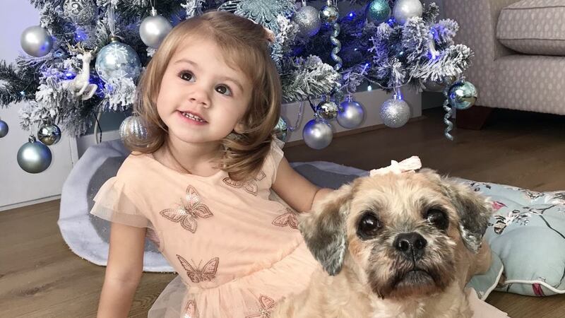 Shih tzu Molly has found a new home in time for Christmas.