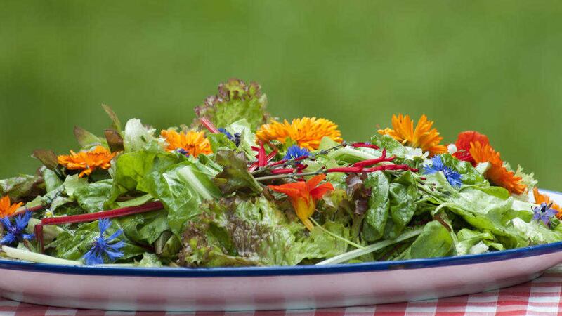 Many garden flowers can be incorporated in to a meal  