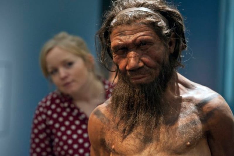 Neanderthals practised primitive dentistry 130,000 years ago, research shows