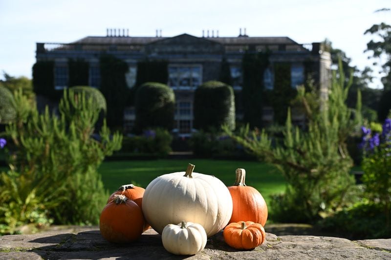 Halloween at Castle Ward