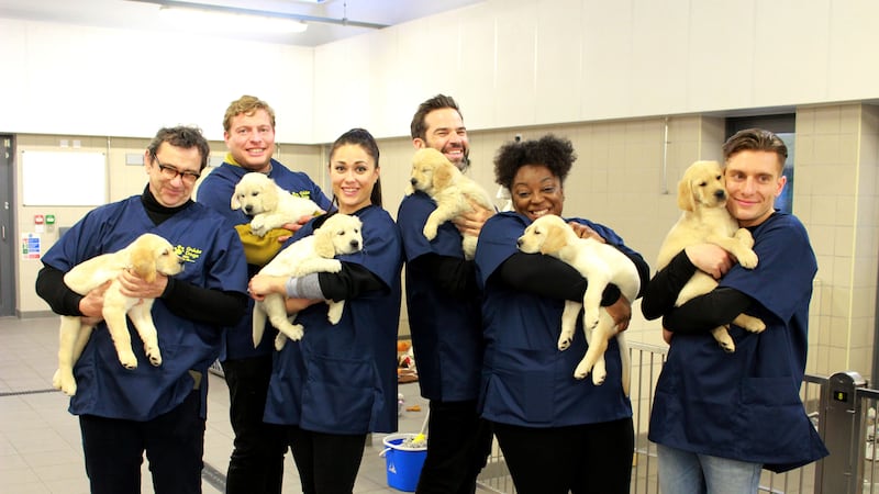 The contestants cooked at the Guide Dogs National Breeding Centre in Leamington Spa.