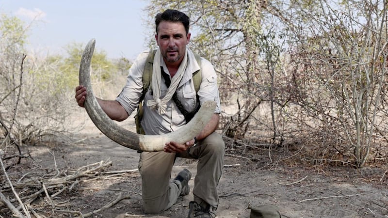 Levison with an elephant tusk, Botswana 