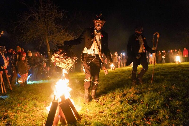 Silurian Morris Men at Westons Cider Mill in Ledbury during a wassail ceremony to bless trees in the hope of promoting a good harvest for the next cider and perry season, and warding off bad spirits from the orchard 