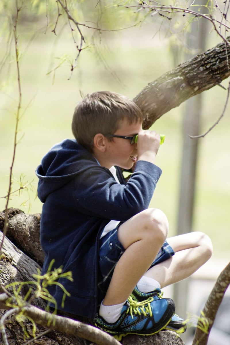 Binoculars are an essential part of any serious bird spotter&#39;s kit... 