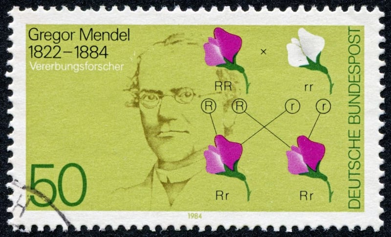 Mendel&#39;s contribution to science is widely commemorated, including on a series of stamps in Germany 