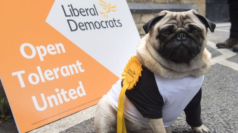 Russell Brand and a pug nailed their colours to the mast.
