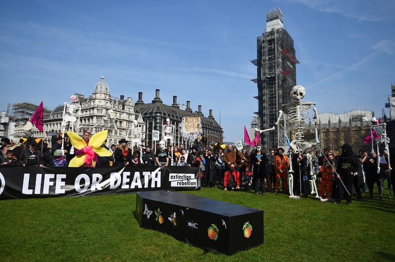 Demonstrators lay Ruby the rhinoceros in Parliament Square
