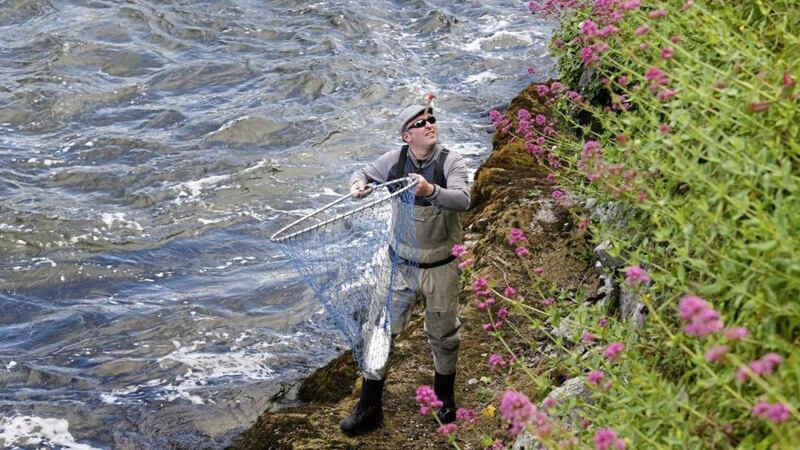 Salmon fishing on the River Corrib in Galway City. Picture by Mal McCann 