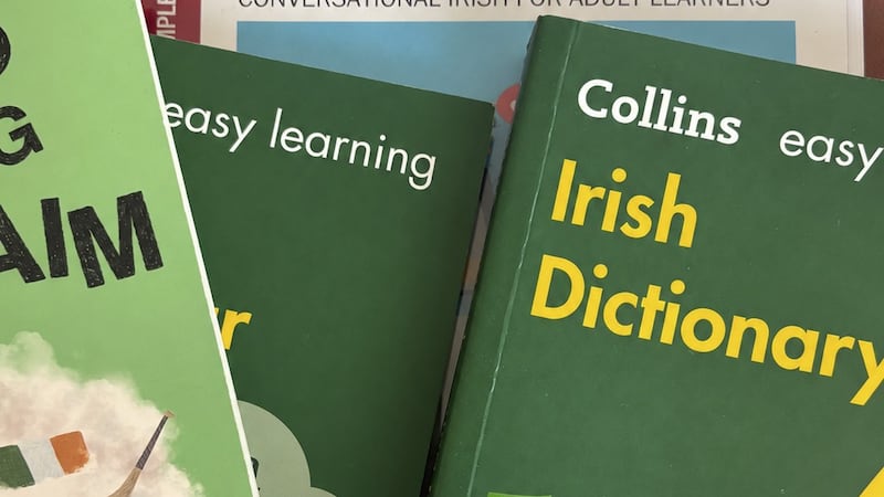 Why Irish could be ‘at risk’ with proposed changes to Northern Ireland’s curriculum