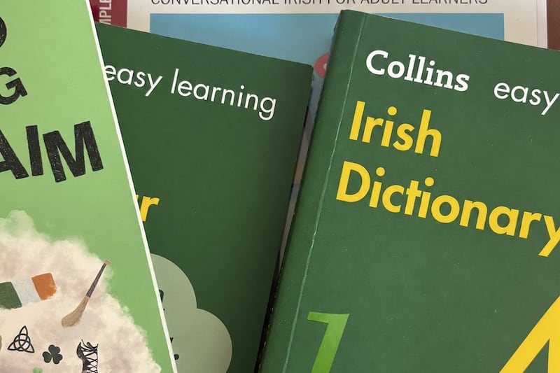 Why Irish could be ‘at risk’ with proposed changes to Northern Ireland’s curriculum