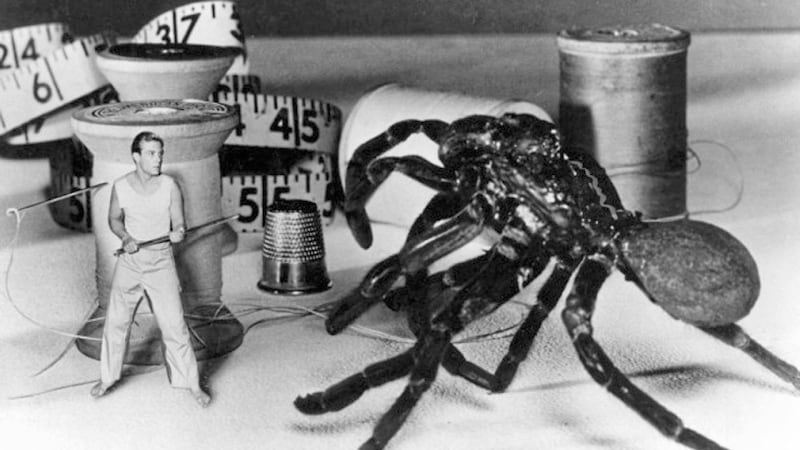 Grant Williams in the Jack Arnold-directed 1957 science fiction classic The Incredible Shrinking Man 