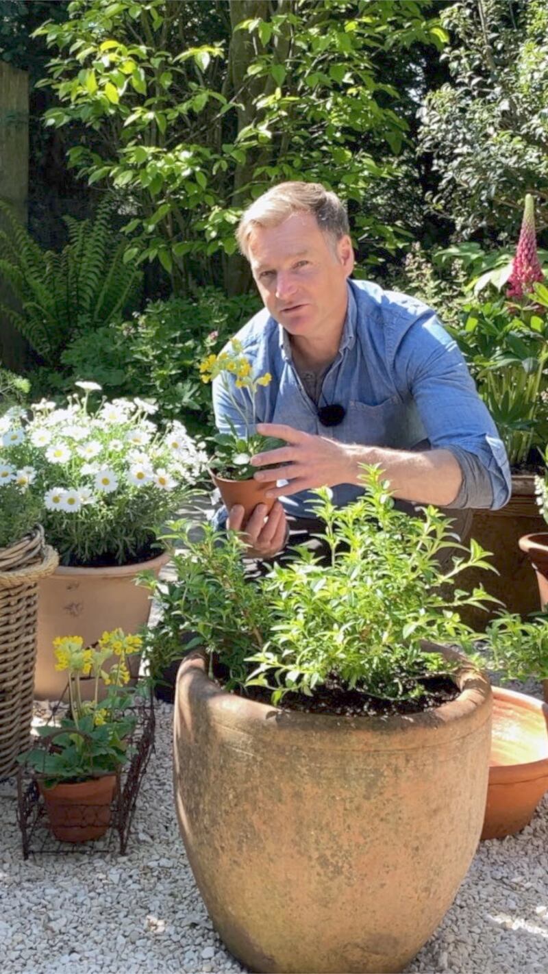 Chris Beardshaw holds a container gardening course