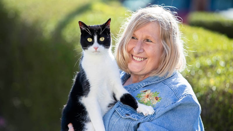 Genevieve Moss’s cat Zebby has been named National Cat of the Year 2023 (Lucy Ray/PA)