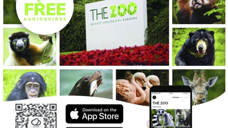An audio tour has been introduced at Belfast Zoo for the first time 