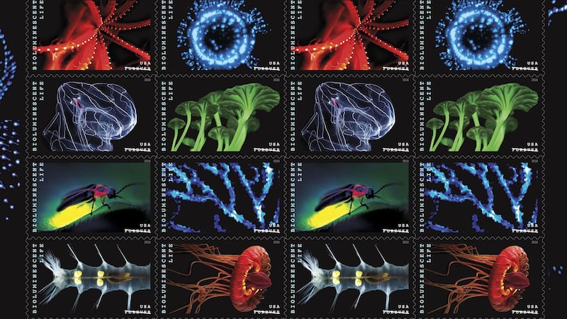 The set of 10 stamps features photographs of live specimens taken by scientists.