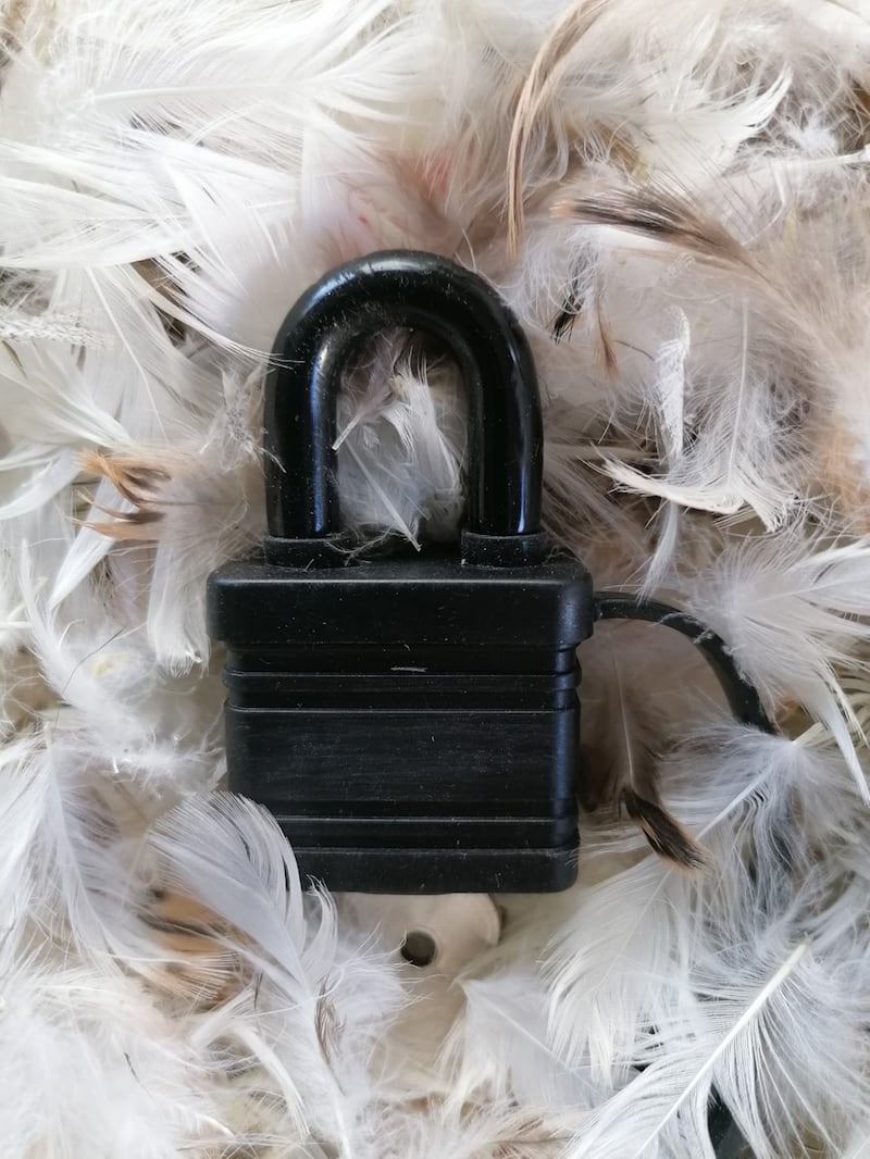 Herewe Goagain's entry is entitled, Lockdown, and is a padlock on top of a pile of duck down feathers (Turnip Prize/PA) 