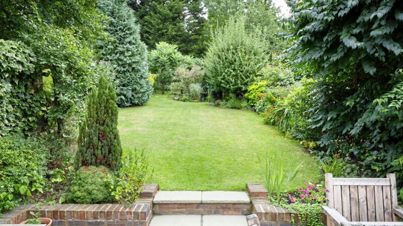 Months spent in lockdown have prompted home buyers to put a garden or access to green space at the top of their wish-list, according to Rics 