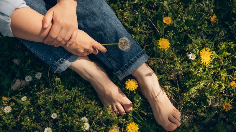 woman  sitting in the grass among daisy and dandelion flowers female  feet and female hands. close up