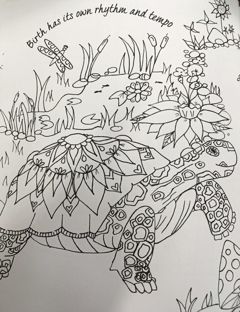 An image from Preparing for Birth: colouring your pregnancy journey by Bridget Sheeran which encourages mothers-to-be to take their time and enjoy a slow and steady birth journey 