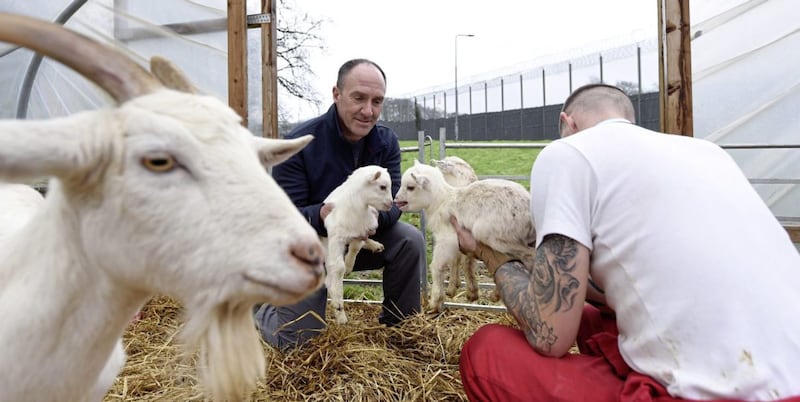 Ricky Graham, vocational training officer at Hydebank Wood College, is teaching students animal husbandry. Picture by Michael Cooper 