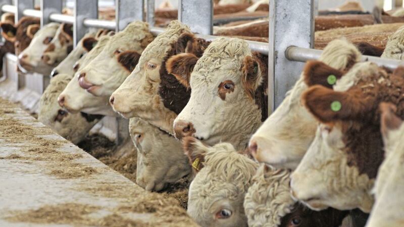 Beef farmers are concerned about a new EU deal with countries in South America 