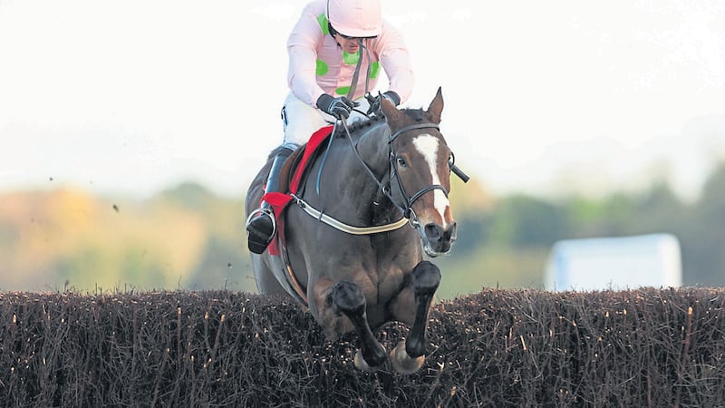 Willie Mullins will plan the next move for Vautour after deciding not to run the King George runner-up at the weekend