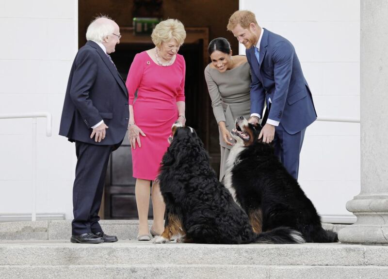 The Duke and Duchess of Sussex with President Michael D Higgins, his wife Sabina and their dogs Brod and Sioda at Aras an Uachtarain. Picture by Julien Behal, Press Association 