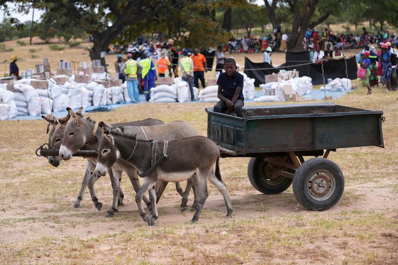 Food aid is distributed in Mangwe district in southwestern Zimbabwe (Tsvangirayi Mukwazhi/AP)