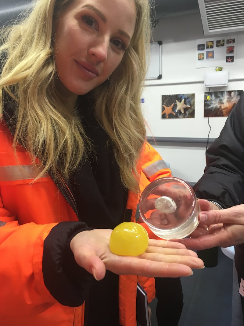 Ellie Goulding holding a sea lemon at the British Antarctic Survey Headquarters in Cambridge.