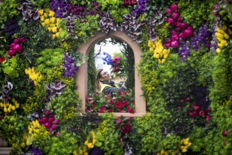 RHS Chelsea Flower Show 2017