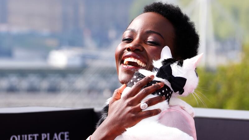 Lupita Nyong’o and cat Schnitzel during a photocall for A Quiet Place: Day One