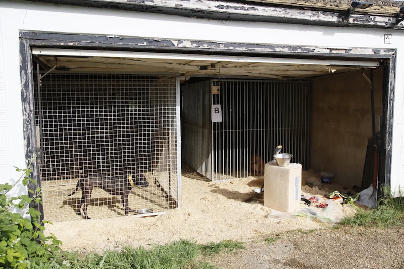 A garage containing kennels at the Leadleys’ address.
