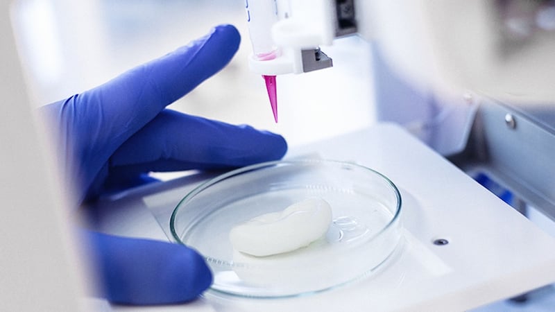 3D bioprinting is already being used to create cartilage and skin cells to test cosmetics.