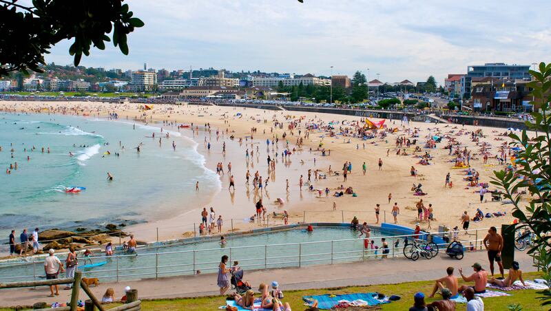 Bondi Beach is a popular area of Sydney with thousands of visitors each day