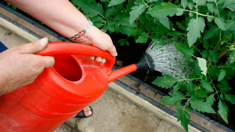 Gardening two to three times a week leads to better wellbeing and lower stress levels, the new research suggests.