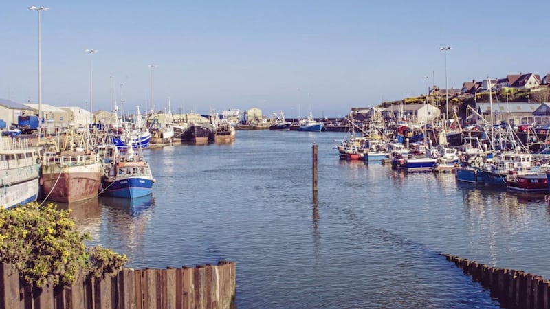 The Kilkeel fishing community has pledged to foot the bill for a &pound;350,000 environmental assessment to ensure the delivery of a &pound;35 million expansion at the harbour 